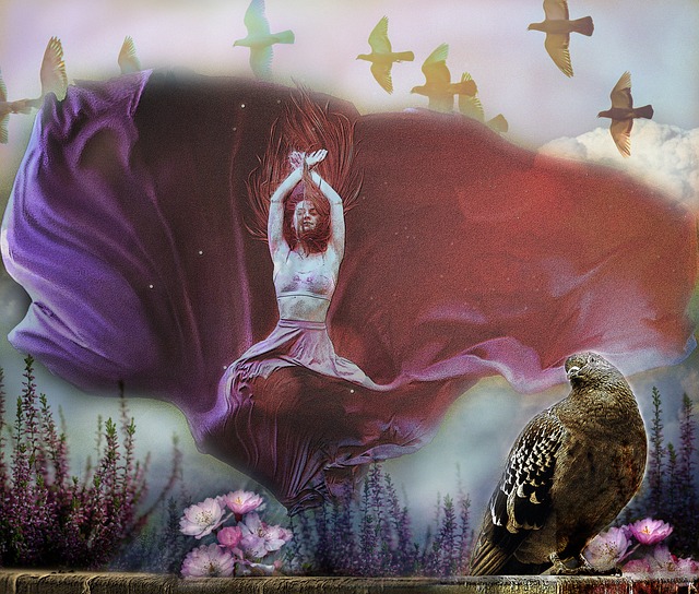 顶尖运动员 顶尖运动员