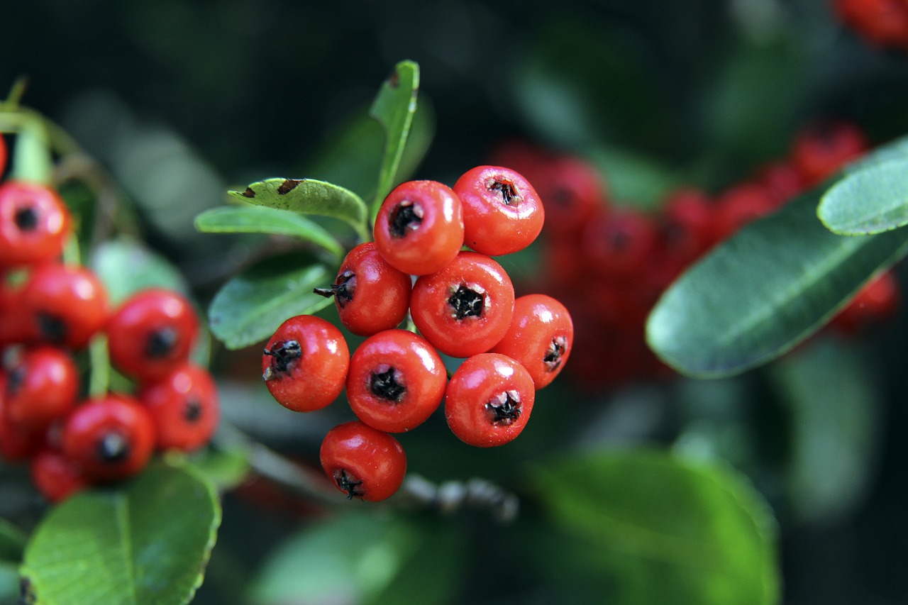 对冬季运动 对冬季运动