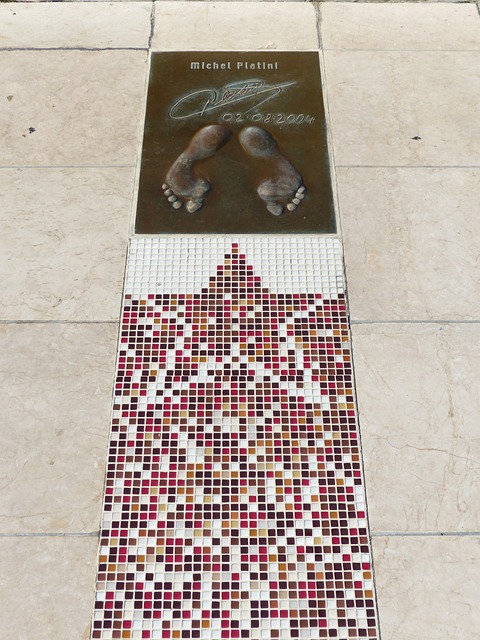 他以全面的 他以全面的